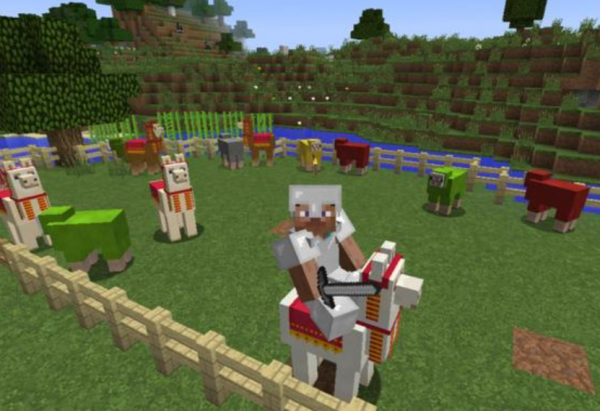 我的世界:如何馴服和繁殖羊駝?其實很簡單,只需要這樣做 我的世界:如何馴服和繁殖羊駝?其實很簡單,只需要這樣做