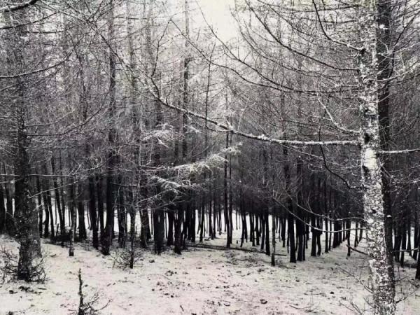 「甘海子」高山牧場,霧凇奇景 「甘海子」高山牧場,霧凇奇景