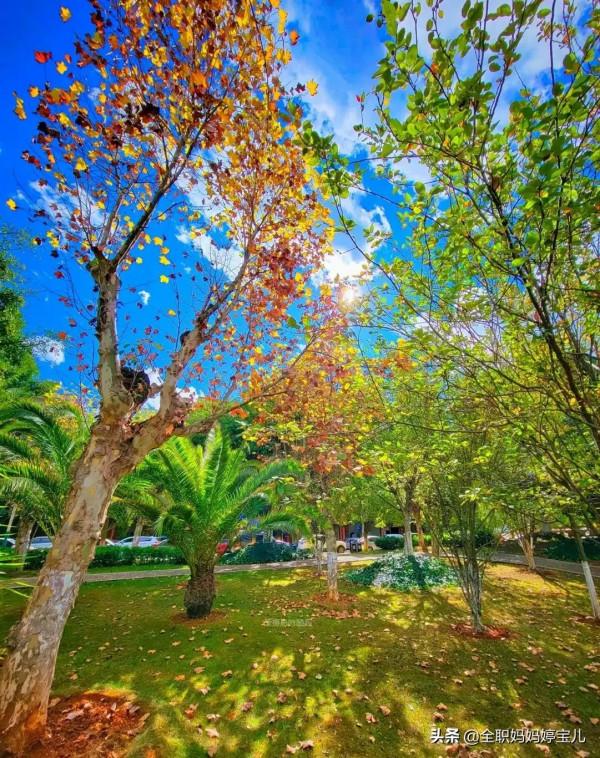 分享——雲南的“秋”