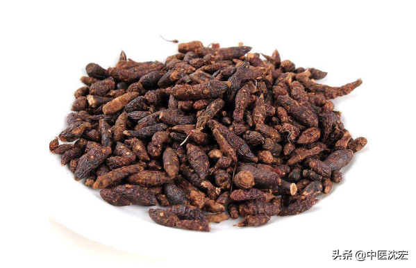 脾胃虛寒還有瘀，送你兩味藥，溫脾養胃、疏肝解鬱 脾胃暖、不瘀滯