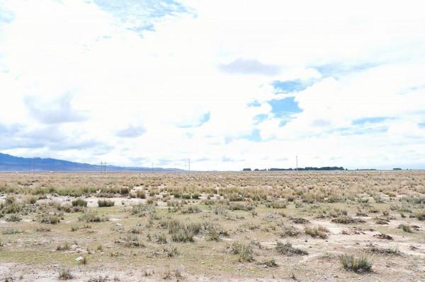 標緻4008環青海長測Day9：鳥島叫“蚊子島”，沿青海沿線達剛察！