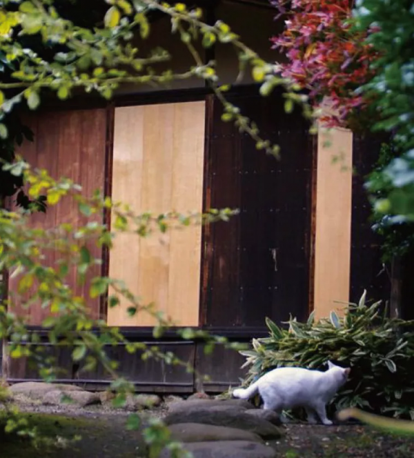 你所注重的生活品質,心中的庭院 你所注重的生活品質,心中的庭院