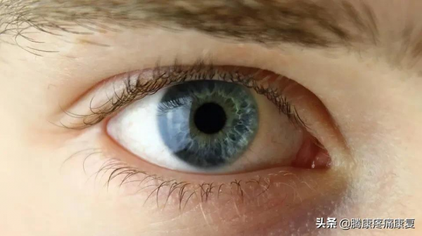 身體是透過什麼維持姿勢和平衡的? 身體是透過什麼維持姿勢和平衡的?