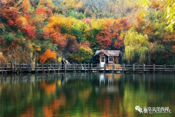 故事《賢孝碑》寧廷常 故事《賢孝碑》寧廷常