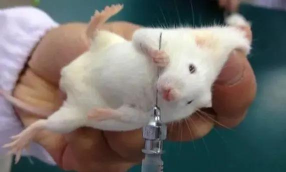 停止心跳後大腦意識能維持多久