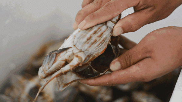 為什麼越來越多人喜歡潮汕？