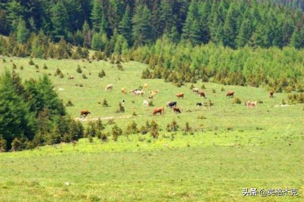 山西“馬侖草原”廣闊平坦，綠草豐茂！一年四季皆有景，你來過嗎