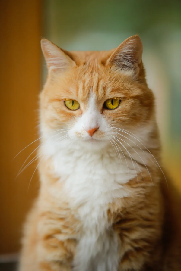 天團連連看，你的眼睛還好嗎？