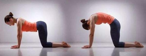 有氧瑜伽 | 五個簡單易學的瑜伽動作舒緩你的腰部疼痛