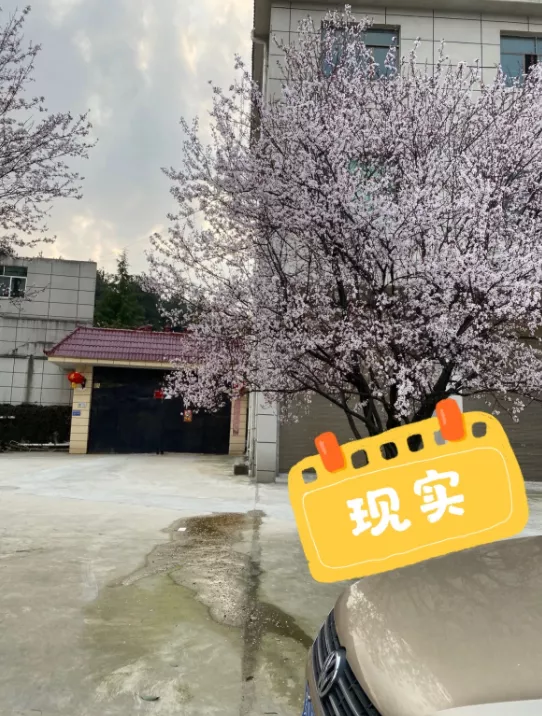 這些所謂的網紅打卡地方,請不要再自欺欺人了 這些所謂的網紅打卡地方,請不要再自欺欺人了