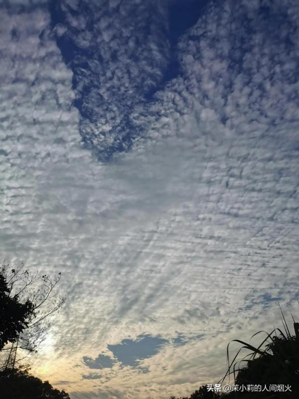 塘朗山&plus;深雲谷，我一天連爬這兩座山，也是沒誰了