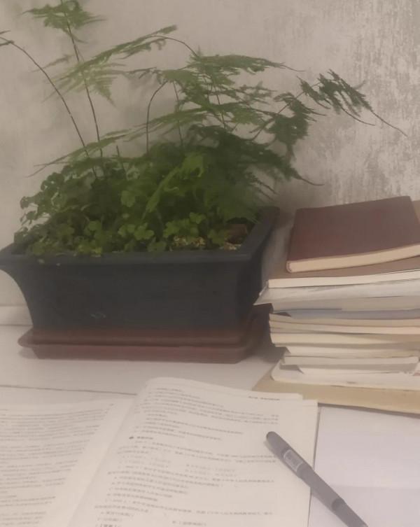 我的村會計生涯