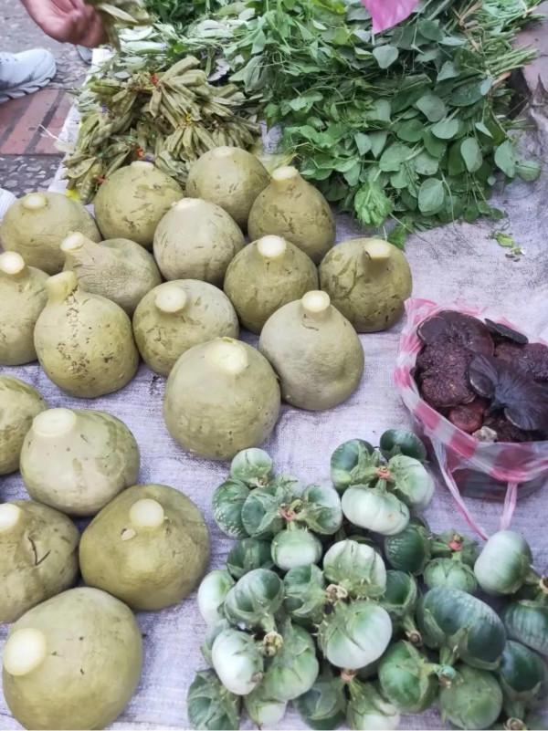 寮國的琅勃拉邦--一個值得駐足慢行的地方