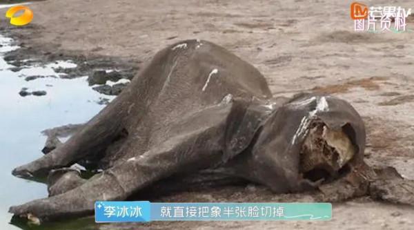 電影成真?再這麼下去,人類被自然災難吞噬就要成為現實 電影成真?再這麼下去,人類被自然災難吞噬就要成為現實