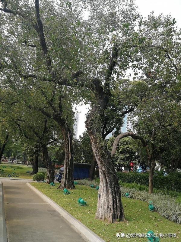 參觀綠樹環繞的中山紀念堂,從西側廣場開始,可以看到迷人的側顏 參觀綠樹環繞的中山紀念堂,從西側廣場開始,可以看到迷人的側顏