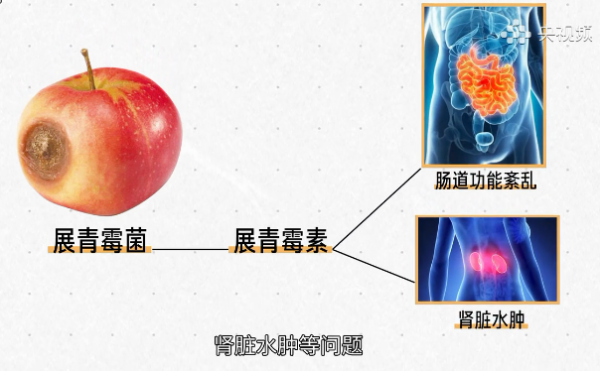食物部分壞了還能吃嗎？關鍵得區分這幾種情況