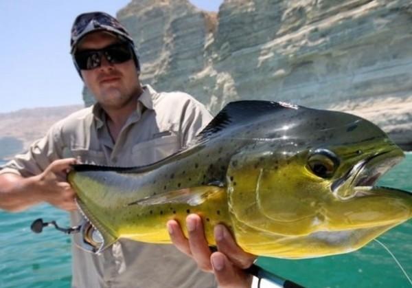 為啥釣魚人大多不喜歡吃魚,看完這幾個原因就知道為什麼了 為啥釣魚人大多不喜歡吃魚,看完這幾個原因就知道為什麼了