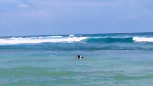 斯里蘭卡之旅(20)美蕊沙海灘 斯里蘭卡之旅(20)美蕊沙海灘