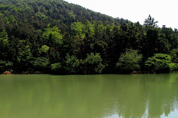 湖北一“天然大氧吧”，距武漢只有一小時車程，還是4A級景區