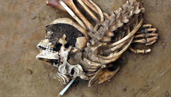 哈佛大學對古代英國進行遺傳學研究 對語言和祖先乃至牛奶消費提供新見解