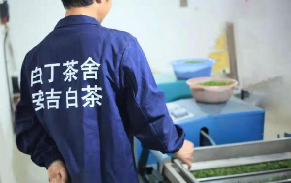 茶葉可以治病嗎？茶葉對人體有什麼健康作用？