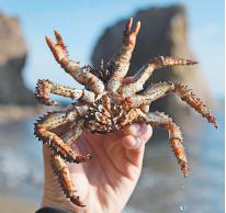 俄羅斯在遠東推廣低價旅遊