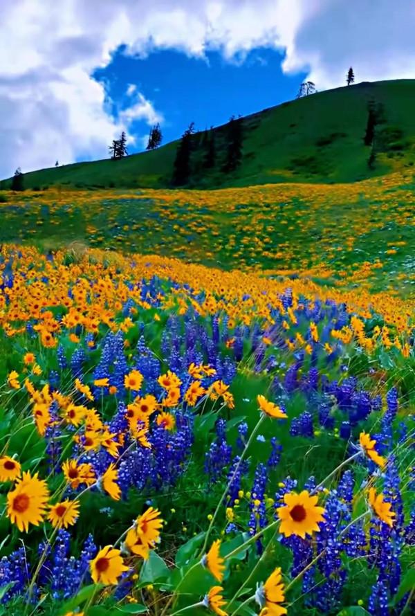 美景：大自然多姿多彩的饋贈