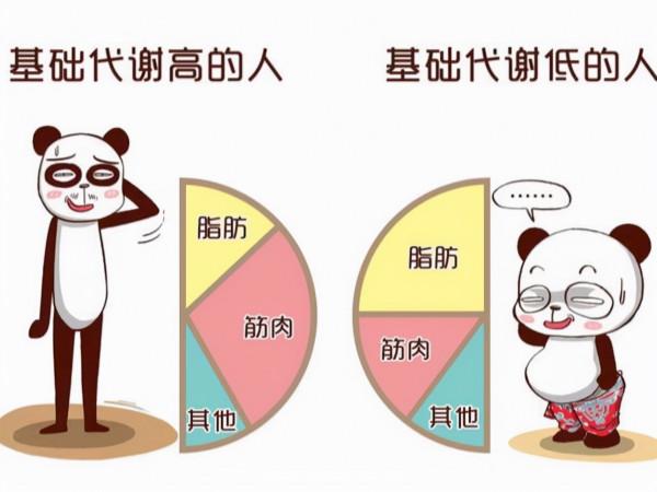 現在很多人每頓飯都吃得很飽 其實適當空腹一天也是有好處的 現在很多人每頓飯都吃得很飽 其實適當空腹一天也是有好處的