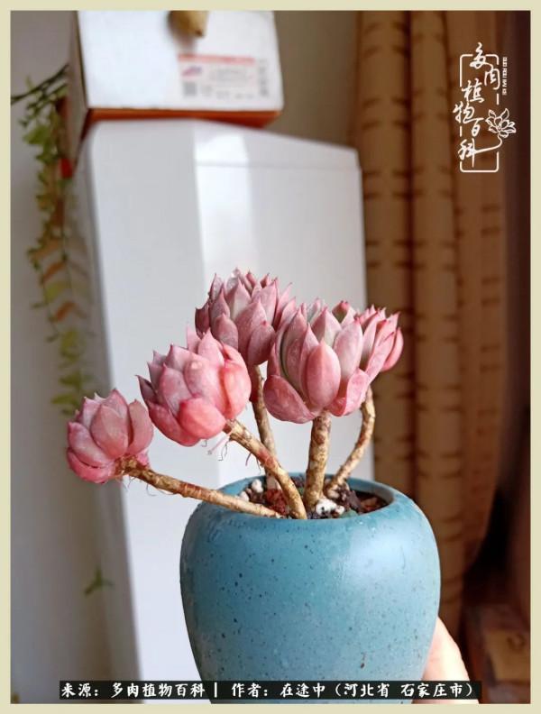 落葉知秋,願你安好 落葉知秋,願你安好