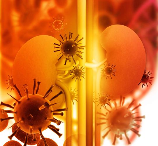 醫生勸告:腎炎不重視,或誘發尿毒症,要注意做好這6件事 醫生勸告:腎炎不重視,或誘發尿毒症,要注意做好這6件事