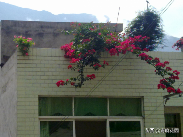 川藏騎行日誌：康定情緣