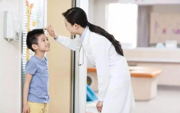 廣為流傳的&OpenCurlyDoubleQuote;田七海馬燉雞湯&rdquo;，真的是增高神湯嗎？帶你一探究竟