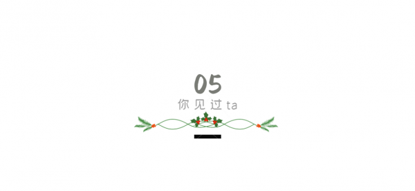 母親去世後，給父親請了保姆，鄰居對我說：你爸已經再婚了