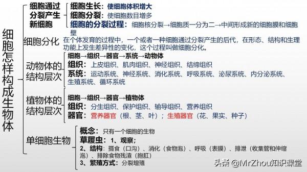 初一上冊“政史地生”期末考點複習思維導圖|3小時搞定,衝刺滿分 初一上冊“政史地生”期末考點複習思維導圖|3小時搞定,衝刺滿分