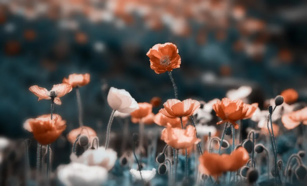 人這一生，要把握好這三個度！