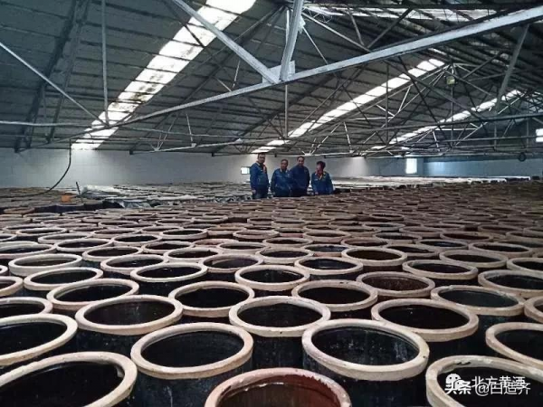 這是北方黃酒：五大核心