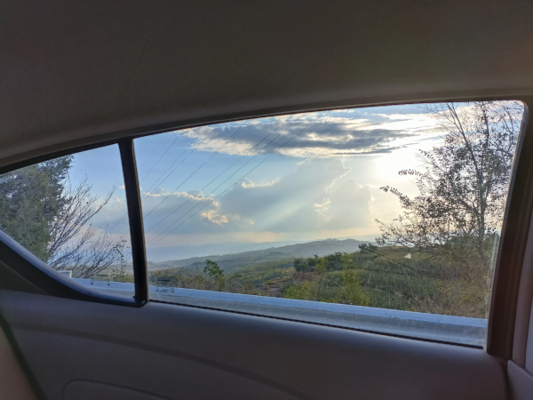 鯨魚?獅子? 鯨魚?獅子?