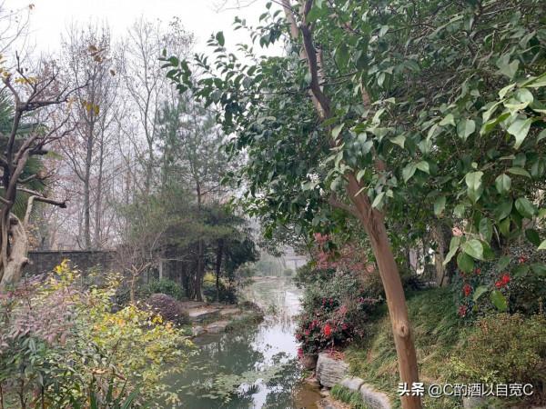 永泉農莊——銅陵的世外桃源