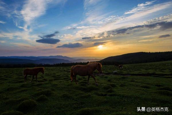 山西“馬侖草原”廣闊平坦，綠草豐茂！一年四季皆有景，你來過嗎