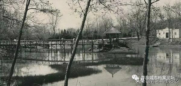 中山公園小西湖，你還記得她曾經的模樣嗎？