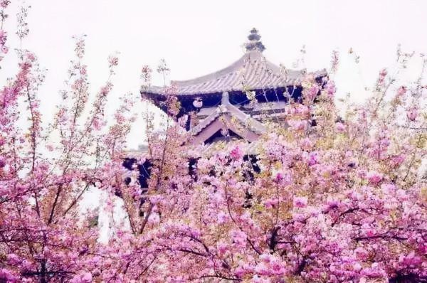 美！外國人眼裡最羨慕的中國美景，你都去過嗎？