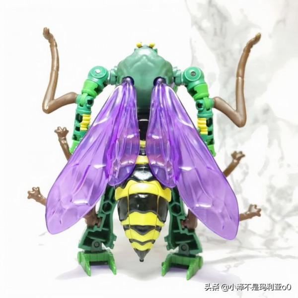 變形金剛《王國》系列紅黑榜大盤點！哪些值得買看完你就知道了