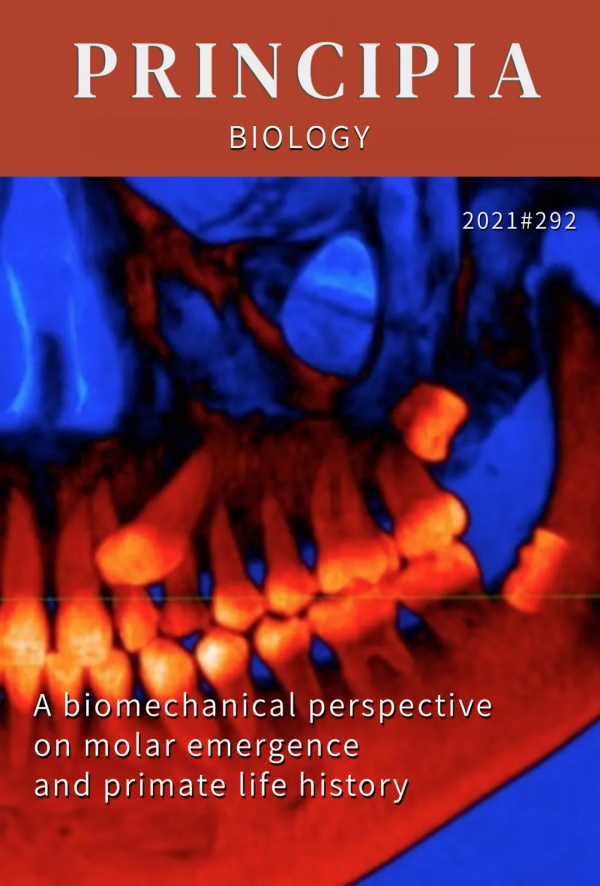 臼齒中,藏著人類生命的秘密 臼齒中,藏著人類生命的秘密