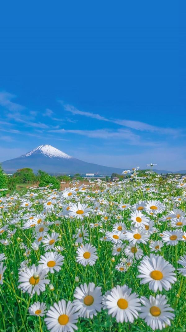 《在樹林裡》有些事帶有年輕的屬性，別給自己留下遺憾