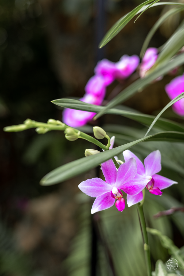 在東湖過元旦，好多新板眼！