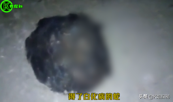 40天誕生一個生命？古代鍊金術包含“小侏儒實驗”？