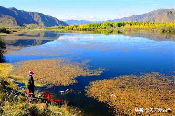 深秋時節，遇上這四種天氣別出門，魚兒大多不開口，根本釣不到魚