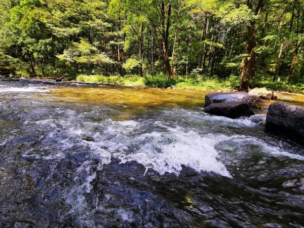 尋源之旅”～遊望天鵝景區，瀑布多、奇石多，大開眼界