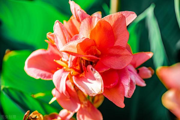 雅稱、代稱、它稱、別稱彙總(二) 雅稱、代稱、它稱、別稱彙總(二)