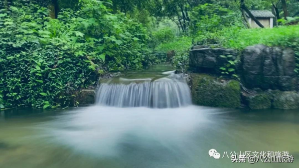 這十條來八公山的理由，看完你還不心動嗎？